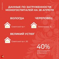 Нагрузка на монопрофильные лечебные учреждения Вологодской области снизилась до 40%