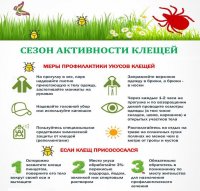Более 700 гектаров зеленых зон в Вологде обработают от клещей
