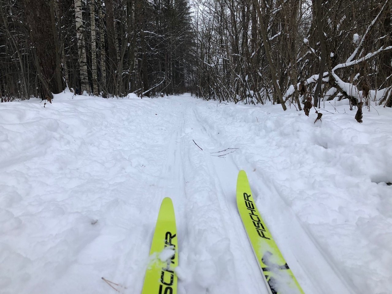 Пятикилометровую лыжню в микрорайоне Охмыльцево восстановят в Вологде