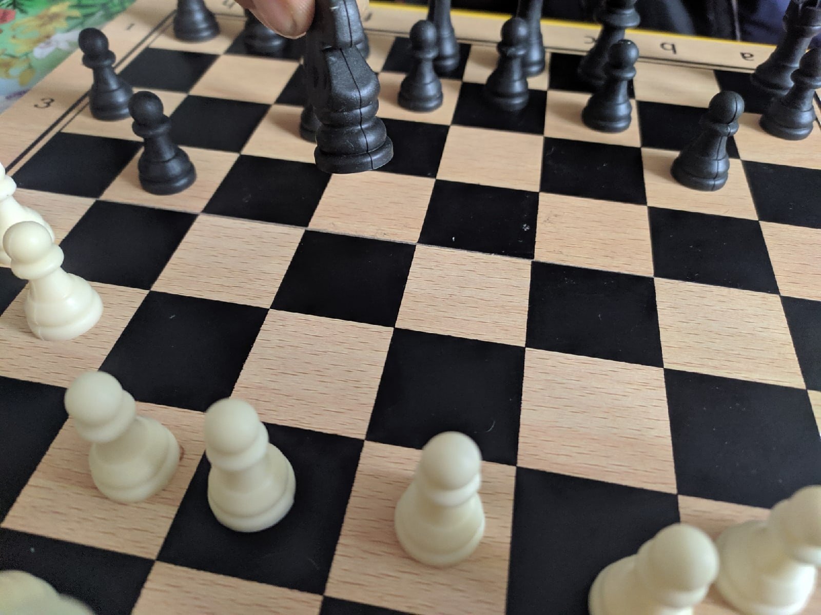 Сборная Вологодской области стала победителем чемпионата СЗФО по шахматам