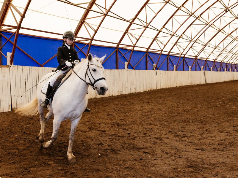 В эти выходные в Вологде пройдут соревнования по конному спорту