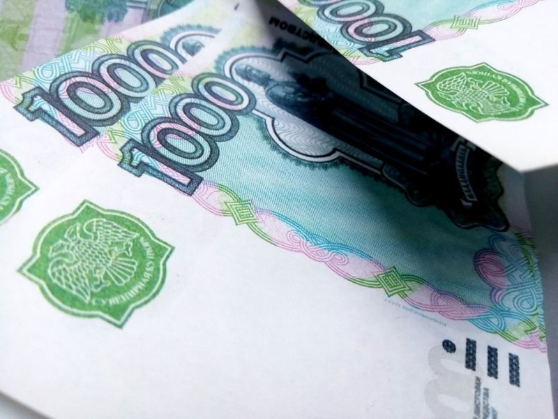 Вологодские инициативы получили финансирование в рамках проекта «Росмолодёжь.Гранты»