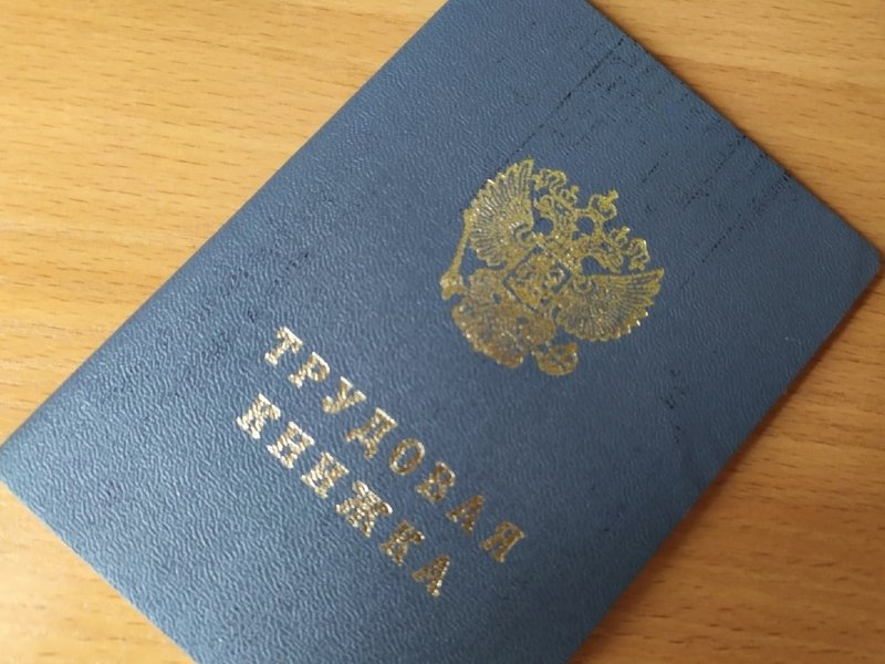 Свыше 90 тысяч вологжан выбрали электронную трудовую книжку