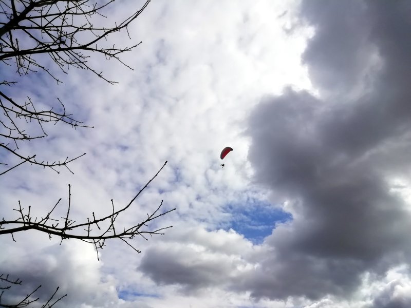 Вологодские парашютисты-пожарные завершили подготовку к пожароопасному сезону
