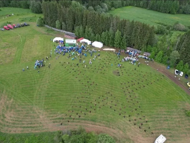 Масштабный геоглиф в виде пятиконечной звезды появился на Вологодчине